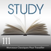 Study: 111 Morceaux Classiques Pour Travailler artwork