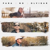 Para No Olvidar artwork