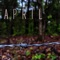 Fly Away - Pj Andersson lyrics