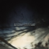 Black Swan (Drones for Bleeding Hearts) - Blue Tomorrows