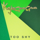 Too Shy (Extended Version) artwork