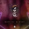 Working Memory (Psilocybe Project Remix) - Single album lyrics, reviews, download