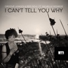 I Can't Tell You Why (Groove n' Soul Mixes) [feat. Nichelle Monroe] - EP