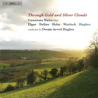 Serenade In e Minor, Op. 20 : I. Allegro Piacevole by Owain Arwel Hughes & Wales Camerata song reviws