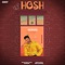 Hosh - Shubham lyrics