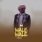 Wale Wale - Shetta lyrics