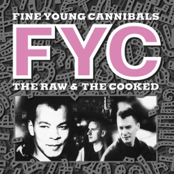 Fine Young Cannibals - I'm Not the Man I Used to Be (Demo Version)