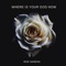 Where Is Your God Now - Rok Nardin lyrics