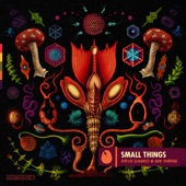 Small Things artwork