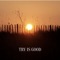Try Is Good (feat. Snoozegod) - Decisions lyrics