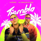 Tiembla (feat. El Chima en la Casa) artwork