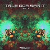 True Goa Spirit, Vol. 5 artwork