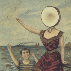 IN THE AEROPLANE OVER THE SEA cover art