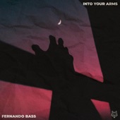 Into Your Arms (Remix) artwork