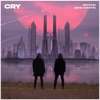 Cry (with John Martin) by Gryffin iTunes Track 1