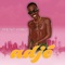 ADJé - Pheno Ambro lyrics