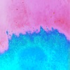 Monowhales - Out With The Old