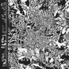 The Bedroom Tapes (Live) - EP