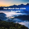 Too Much Too Little Too Late - Single