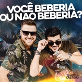 Você Beberia Ou Não Beberia? artwork