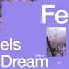 Feels Like a Dream - Single