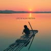 Life in Slow Motion - Single