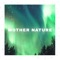 Forest Nature Sound - Naturaleza Sonidos, Sleep Sounds Ambient Noises & Factorial FX lyrics