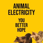 Animal Electricity - You Better Hope