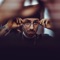 Dżejmi (feat. Adam Dubiel & DJ Laik) - Kobyła lyrics