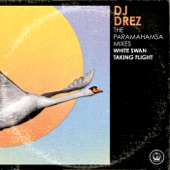 The Paramahamsa Mixes (White Swan Taking Flight) artwork