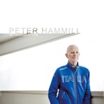 Peter Hammill - This Nearly Was Mine