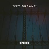 Wet Dreamz - Björk