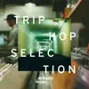 Trip Hop Selection album lyrics, reviews, download