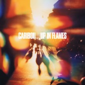 Caribou - Kid You'll Move Mountains