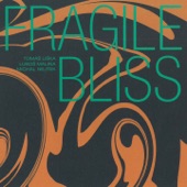 Fragile Bliss artwork