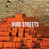 Bird Streets, 2018
