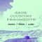 Song for an Erotic Sci-Fi Novel I Found - Sage Country Fragments lyrics