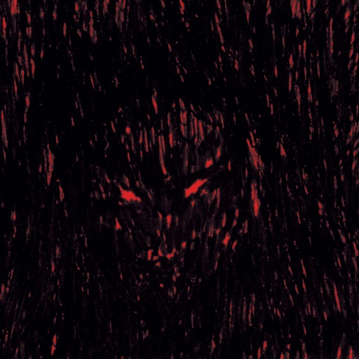Album artwork
