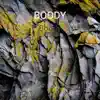Boody - Single album lyrics, reviews, download