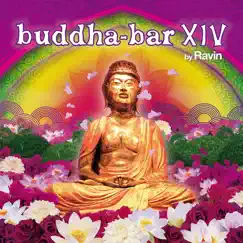 Buddha Bar XIV (Selected By DJ Ravin) by DJ Ravin album reviews, ratings, credits