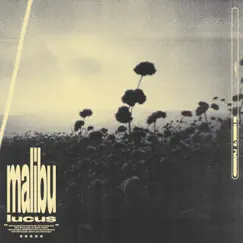 Malibu - Single by Lucus album reviews, ratings, credits