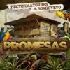 Promesas - Single