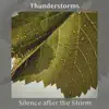 Silence after the Storm album lyrics, reviews, download