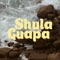 Shulaguapa (feat. El David Aguilar) artwork