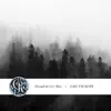Through the Grey Mists - Single album lyrics, reviews, download