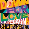 Down For Love by La Pegatina, Chef'Special iTunes Track 1