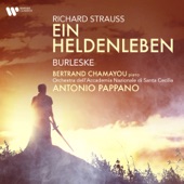 Strauss: Ein Heldenleben & Burleske artwork