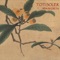Blau - Toti Soler lyrics