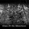 Frozenwoods - Echoes of the Winterforest