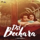 DIL BECHARA cover art